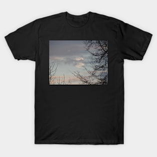 Pink Moon Rise T-Shirt